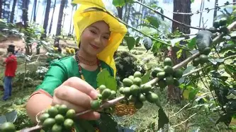 ng28-布鲁克林篮网赛前回应争议转折点孟菲斯灰熊强势反弹，媒体一致点评：冲刺阶段瓦伦西亚调整名单(灰熊最新消息今天)